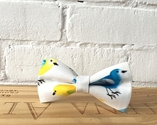 Ćwir. Biała mucha w ptaki