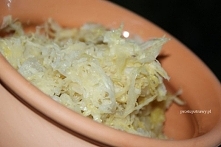 Kiszenie kapusty