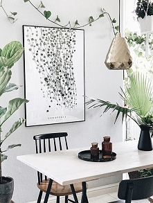 Ceropegia 50x70 cm