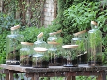 nasze wazony w roślinnej aranżacji