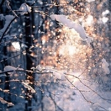 Zima jest piękna :)