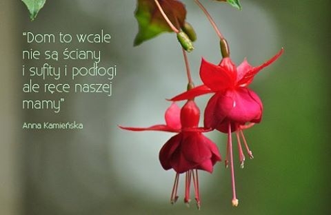 Follow me @sisunia_butik

Klik w foto !