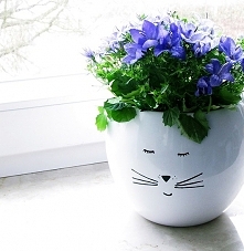 Doniczka kula duża kot