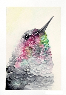 Koliber #3 - plakat, reprodukcja 40x50cm