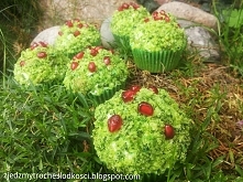 Babeczki leśny mech