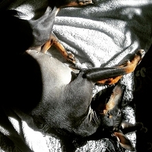 instagram: miszmaszartystyczny