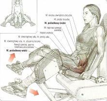 Odwodzenie nóg na maszynie