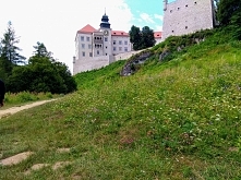 Zamek w Pieskowej Skale