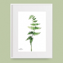 Kartka/mały plakat A5 - Paprotka