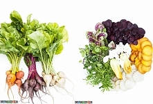 Sałatka z kolorowych buraczków, przepis po kliknięciu w zdjęcie