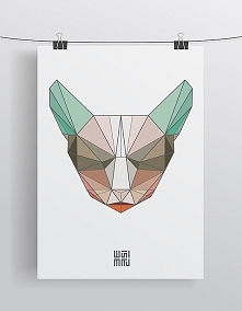 -50% OUTLET Kot kreskowy | A3