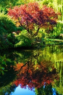 Butchart Gardens, Victoria,...