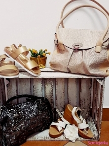 Więcej na Facebooku Szmizje...