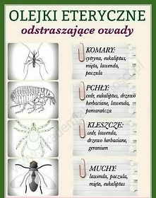 Olejki i odstraszanie