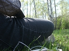 ..Opartym o pień drzewa, nasłuchiwać porannego świergotu ptaków, przeplatanym z szumem drzew powiewających na wietrze..'