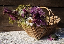 Kwiaty z ląki. Dzień dobry!...