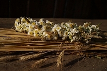 Wianek letni. Wianek na głowe. Kwiaty ogrodowe