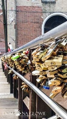 Rocznica ślubu to dobra okazja do świętowania. Dlatego często kupujemy wyjątkowe prezenty, przygotowujemy imprezy lub szukamy wyjątkowych i romantycznych miejsc, w których można...