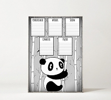 Plan lekcji A4. Panda