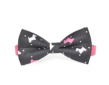 Terrier. Stalowa mucha w psy