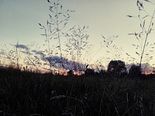 Relaks, zachód słońca, trawa,
 leniuchowanie ❤️❤️❤️