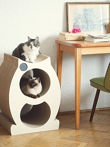 Domek-drapak dla kota Mr. Paper