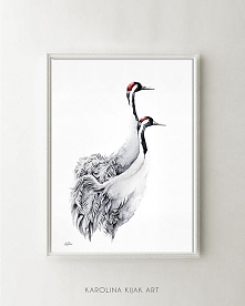 Para Żurawii- plakat, reprodukcja 30x40cm