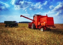 Mimo niedzieli, ja nie odpoczywam :) Stosunkowo chłodna pogoda dziś, ale w sam raz na koszenie :) Pozdrowienia z Warmii :)