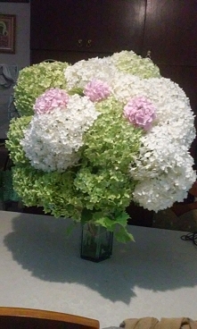 Mój bukiecik hortensji :)