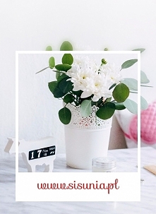 elegancka odzież damska sklep internetowy sisunia.pl