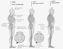 Mięśnie core....garść informacji.
