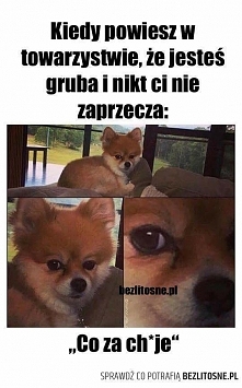trochę smiechu nie zaszkodzi :D
