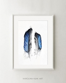 Pióra #02- plakat, reproduk...