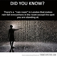 rain room