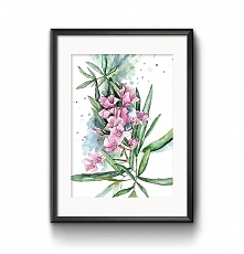 Oleander, 42x30, A3