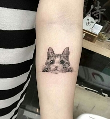 ....