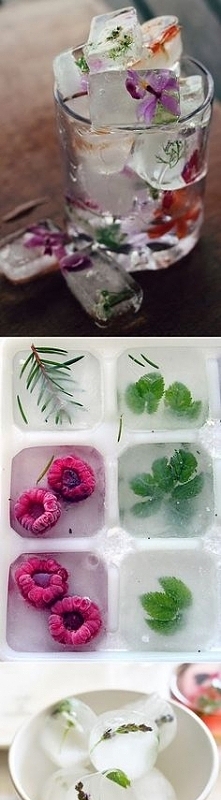 Jazz up Your Water Glass! :D What a fun way to jazz up a boring water glass. You can use seasonal fruit or herbs.
By Dan Ashbach / Dan330