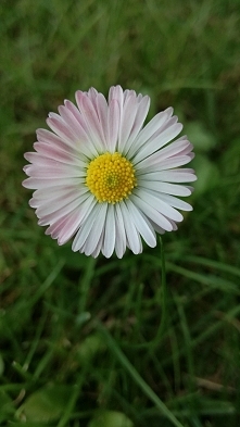 instagram: catching.feels_