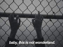 baby, this is not wonderland.
