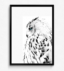 SOWA ŚNIEŻNA OBRAZEK, PLAKA...