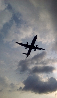 Piękności Holandii :)