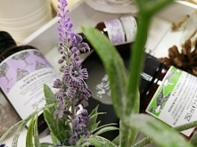 Zabieg CALMING

Łagodzący i kojący zabieg do wrażliwej skóry głowy.

Więcej o zabiegu - KLIK w zdjęcie ;)