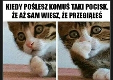 .,.