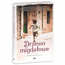 Młody Palestyńczyk – Ahmad – żyje ze świadomością, że nie jest w stanie wygrać z logiką okrutnej wojny. Dorasta w środowisku przesiąkniętym strachem przed utratą domu, pracy alb...