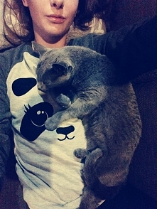 ~Chill out
Rosyjska niebieska