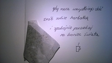 herbatka jest dobra na wszy...