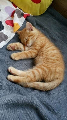 cudo cudo , kocham mojego cudanka :D <3