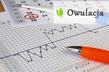Owulacja - czym jest i jak się objawia?