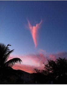 Prawdziwym zjawiskiem jest panika