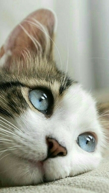 ♡♡♡